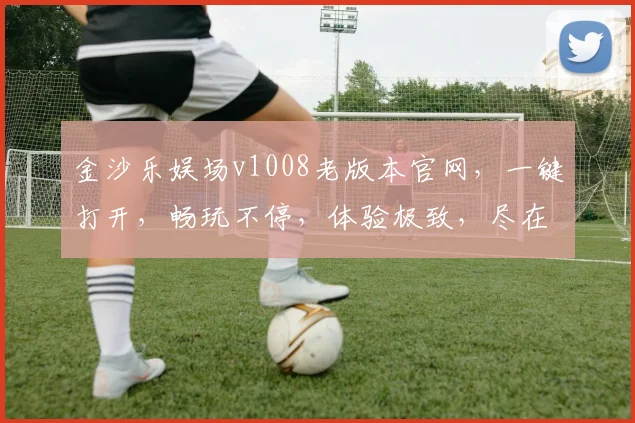 金沙乐娱场v1008老版本官网，一键打开，畅玩不停，体验极致，尽在中国